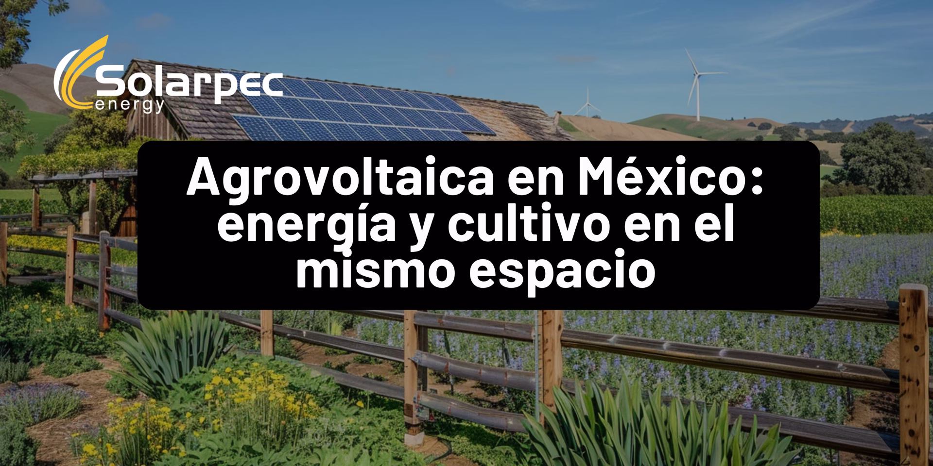 Agrovoltaica en México: energía y cultivo en el mismo espacio