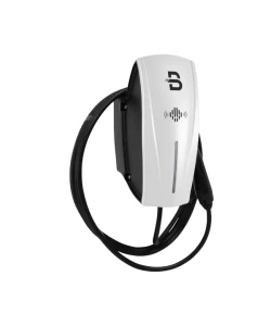 Producto 547 - Imagen 3