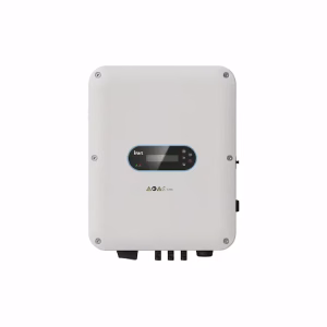 Producto 664 - Imagen 1