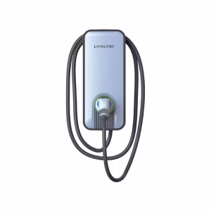 Cargador VE LIVOLTEK Bifasico A0070230E11 7.3kW 230VAC - Imagen 1