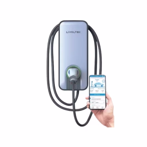 Cargador VE LIVOLTEK Bifasico A0070230E11 7.3kW 230VAC - Imagen 2